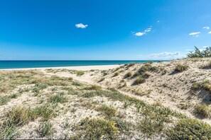 Playa