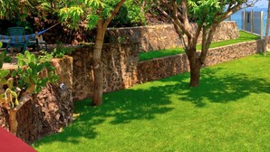 A stone wall with a grassy area and a tree. - Casa las Mariposas Bungalow 9 (Los Ayala)
