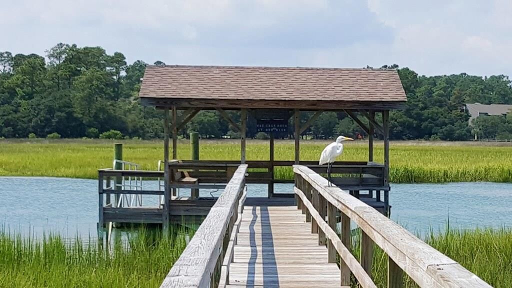 Un muelle de madera que conduce a un pabellón cubierto junto a un lago tranquilo, rodeado de abundante vegetación.