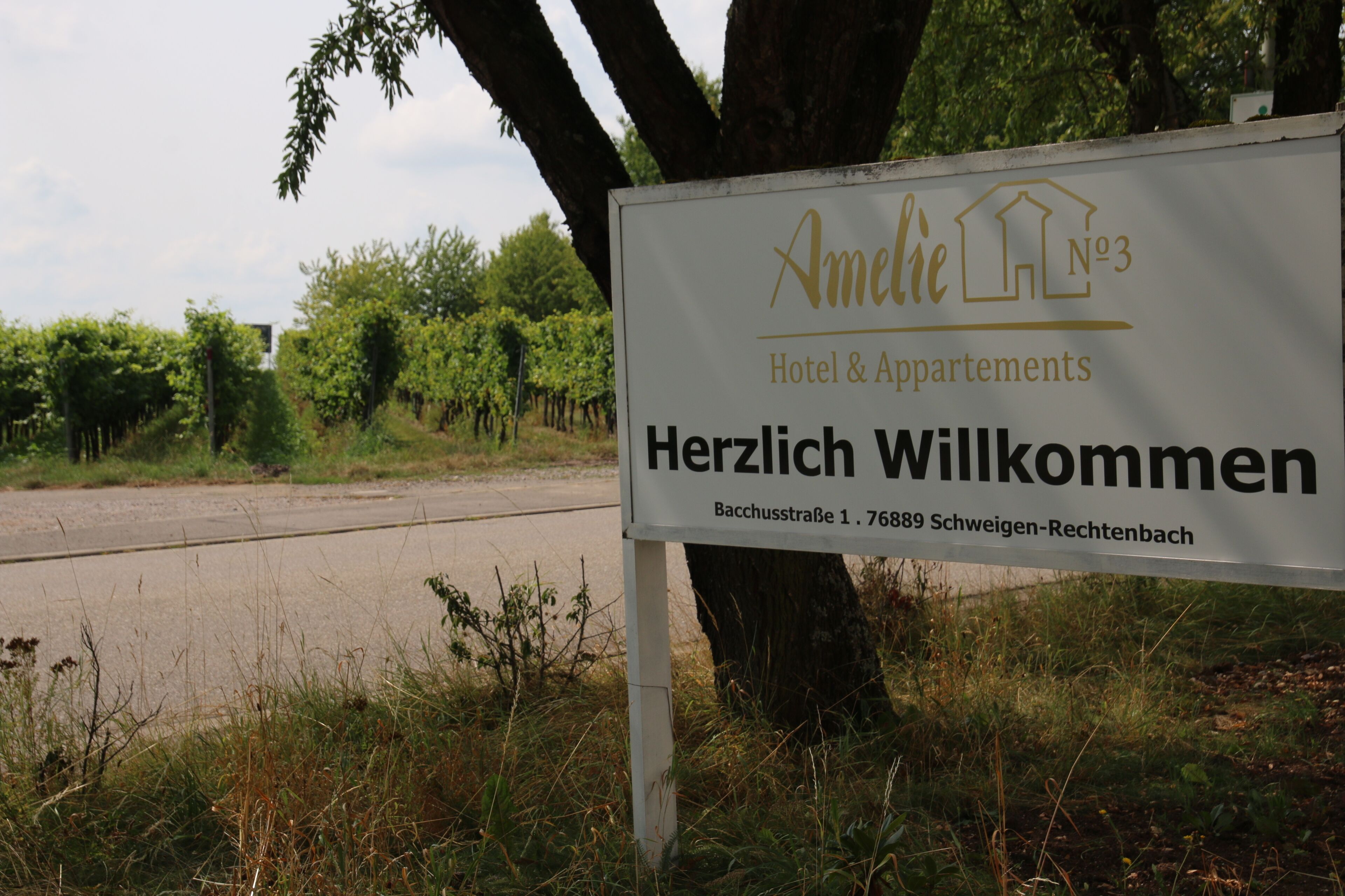 Willkommensschild für das Amelie Hotel & Apartments, mit schlichtem weißen Hintergrund und schwarzem und goldenem Text.