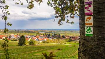 A vineyard with rows of grapevines and a village in the background.