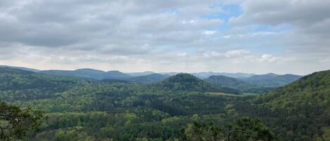 Vista panorâmica de uma paisagem montanhosa com florestas densas e céu nublado.