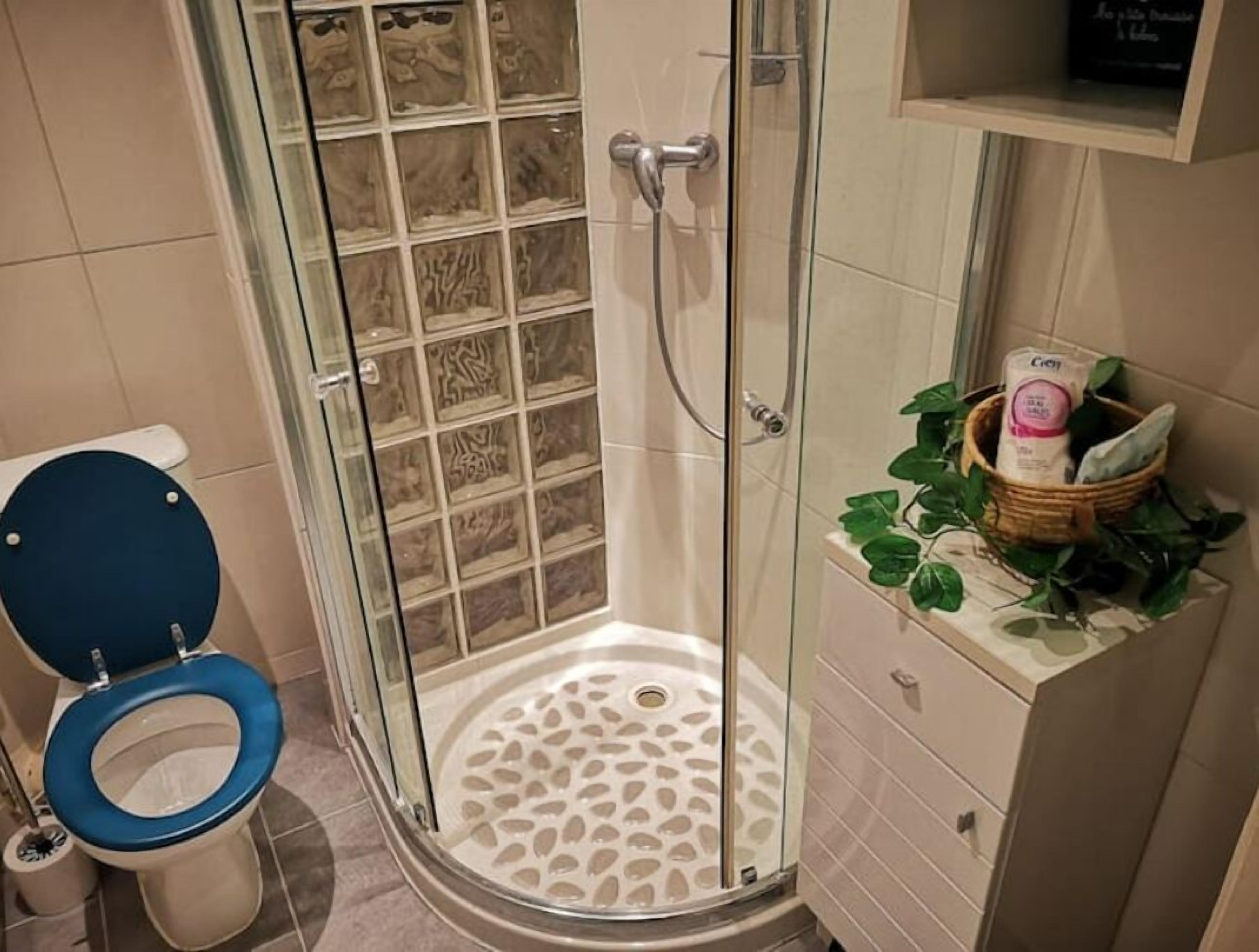 Serviettes fournies, savon, papier toilette