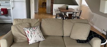 Cozy ski retreat on 200 acres of private groomed cross country ski trails.