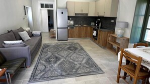 A compact living space with a sofa, a dining table, a kitchen area with cabinets and appliances, and a patterned rug.