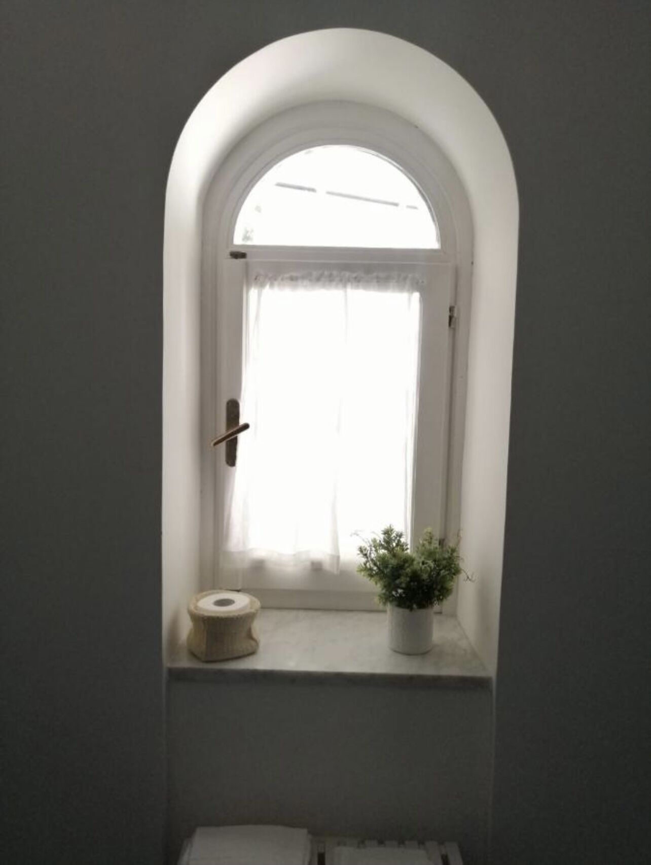 Une petite fenêtre en arc surmontée d’un rideau blanc, un rouleau de papier toilette et une plante en pot.