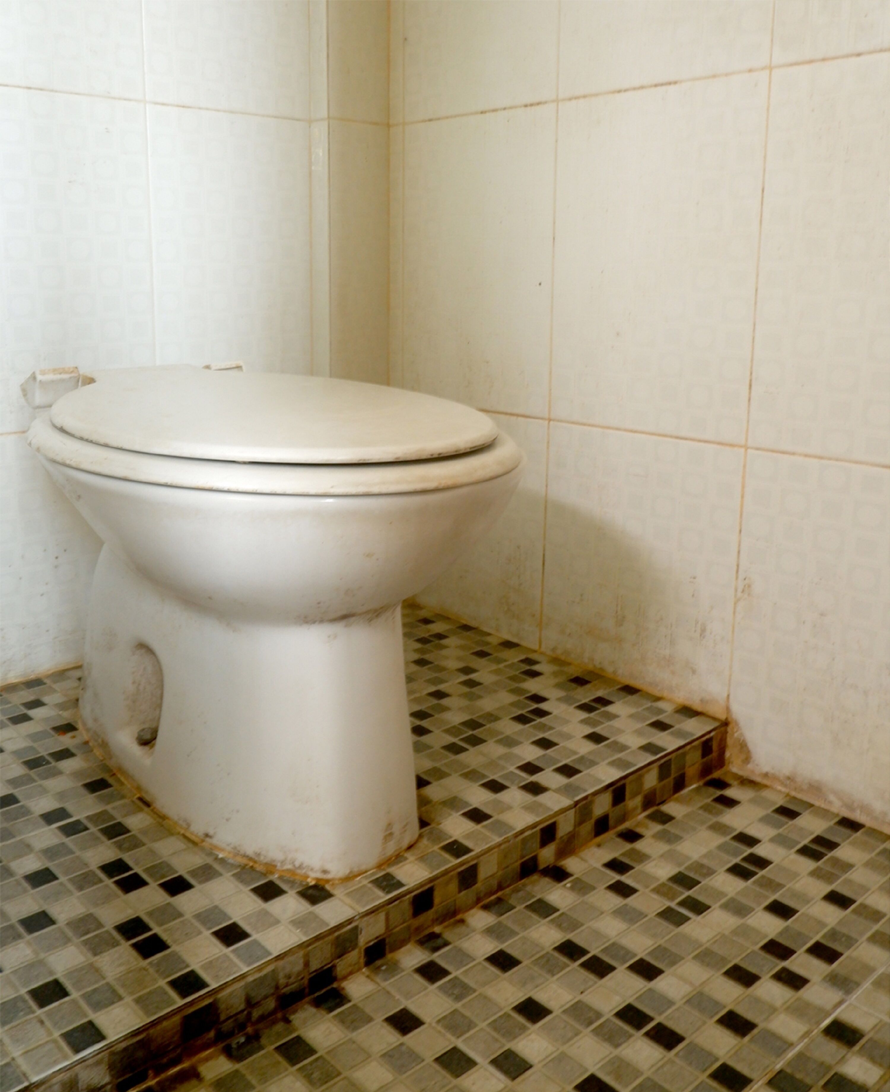A toilet in a bathroom with a tiled floor and walls.