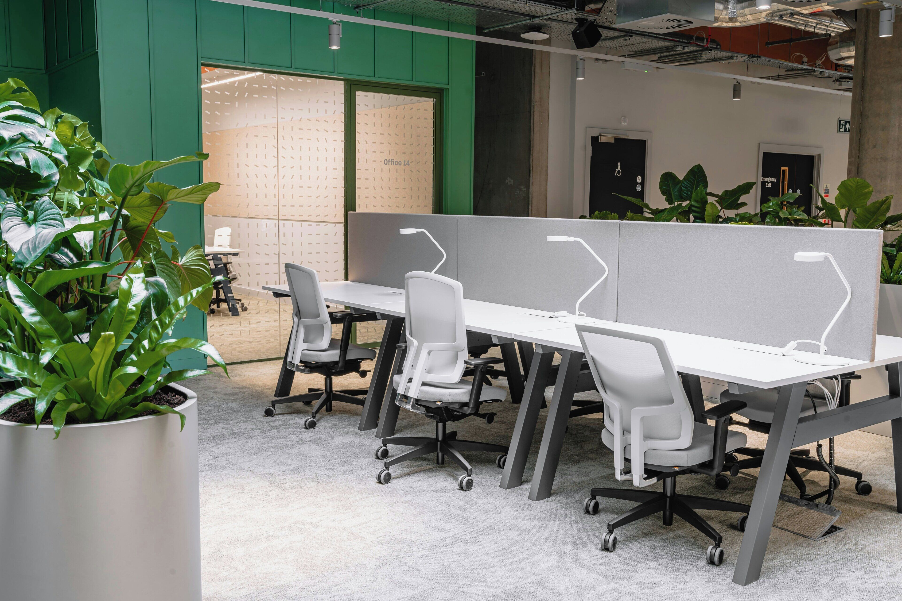 Photo - The Social Hub Glasgow