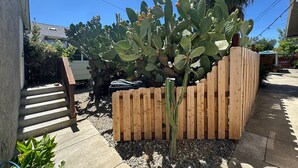 Una planta de cactus en una maceta de madera, con una cerca de madera, una escalera de concreto y un cielo azul despejado.