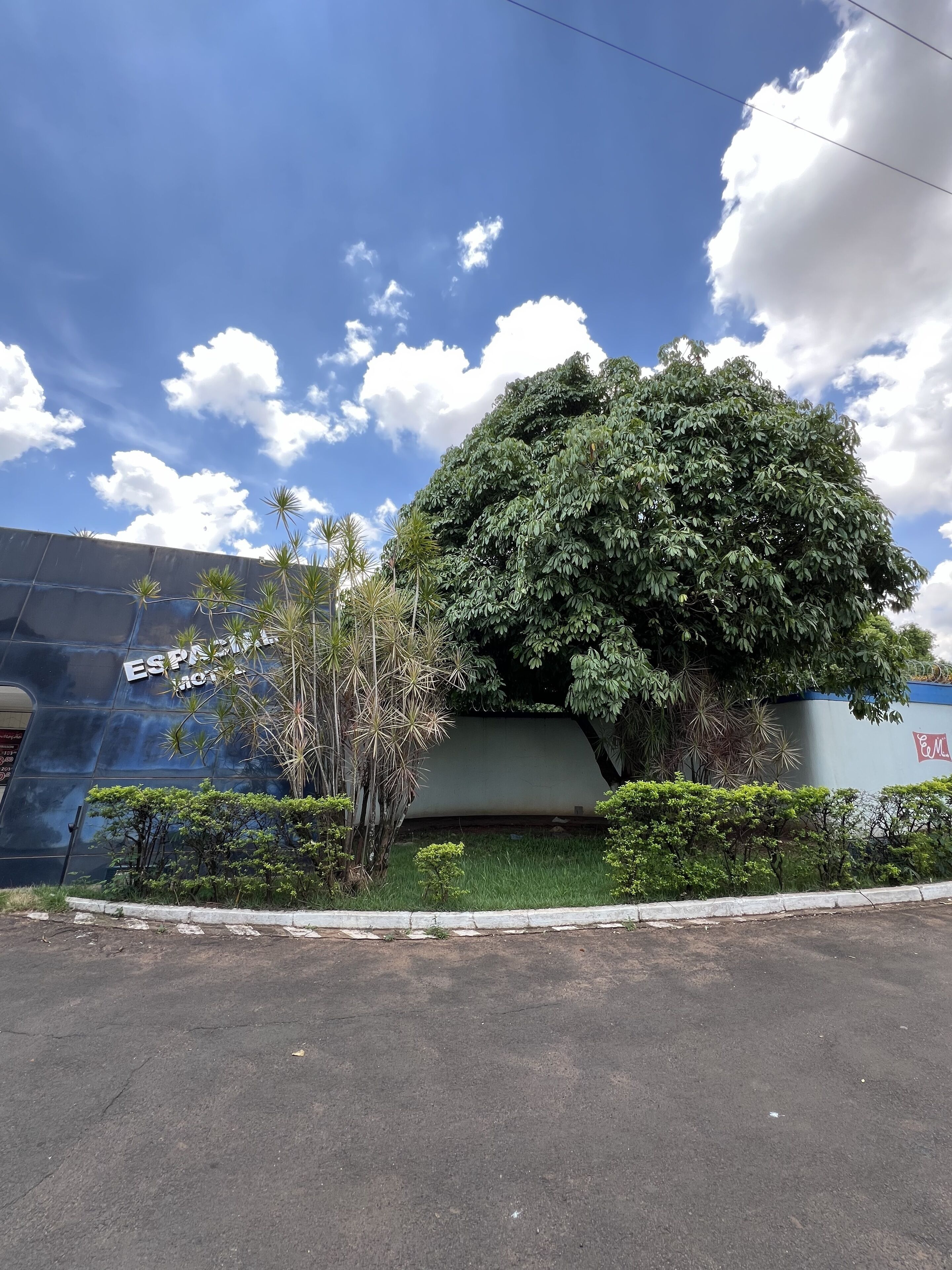 A building with a large tree in front, a clear sky, and a sign that reads "ESPACIO HOTEL".