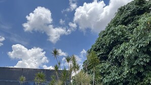 A building with a sign reading "ESPANOLA HOTEL" and a variety of tropical plants in front. - Espacial Motel (Aracatuba)
