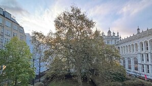 A courtyard with a large tree, surrounded by buildings with classical architecture. - Stylish & Modern 1BD Flat - Chancery Lane! (London)