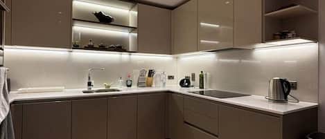 Basic Apartment, 1 King Bed with Sofa bed | Private kitchen | Fridge, microwave, oven, stovetop