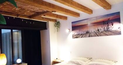 Le Paisible - Gare - Duplex - Garage privé - Netflix