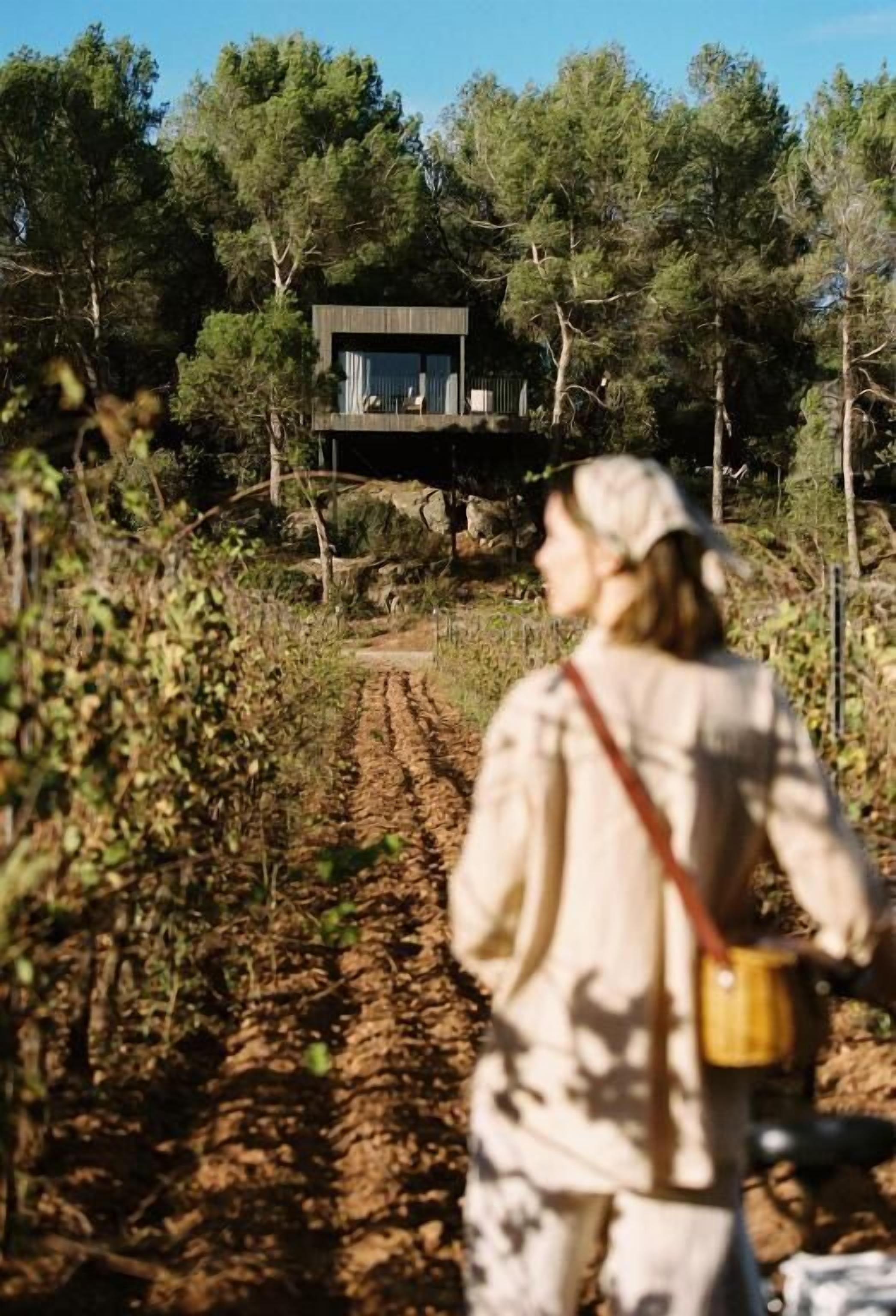 Foto - Les Cabanes de l'Oller del Mas