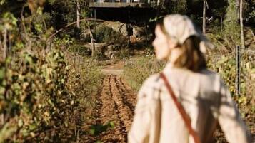 Une personne marchant sur un chemin de terre en direction d’une maison moderne entourée d’arbres.