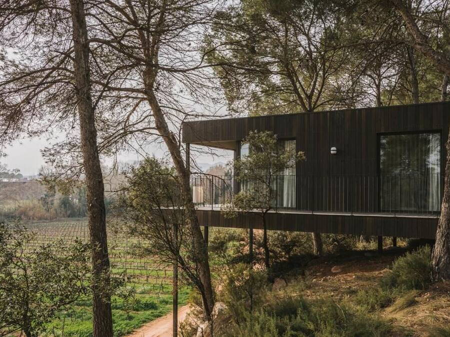 Un edificio moderno con techo plano, ventanas amplias y una terraza de madera.