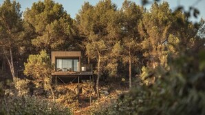 Een chalet met een terras, omgeven door dicht bos.