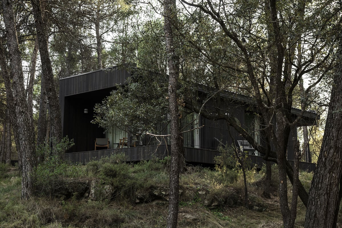 Een moderne chalet omringd door dicht bos.