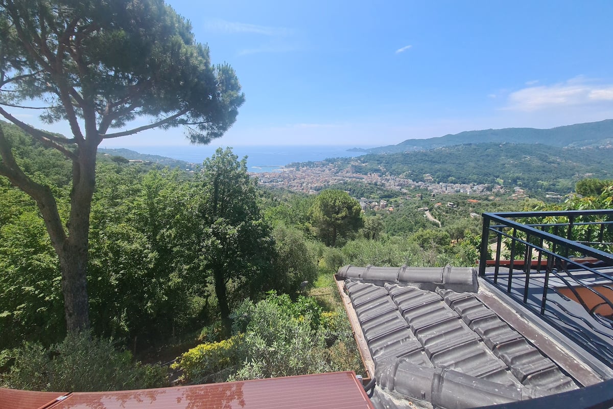 Une terrasse offrant une vue sur une ville côtière, entourée de verdure.