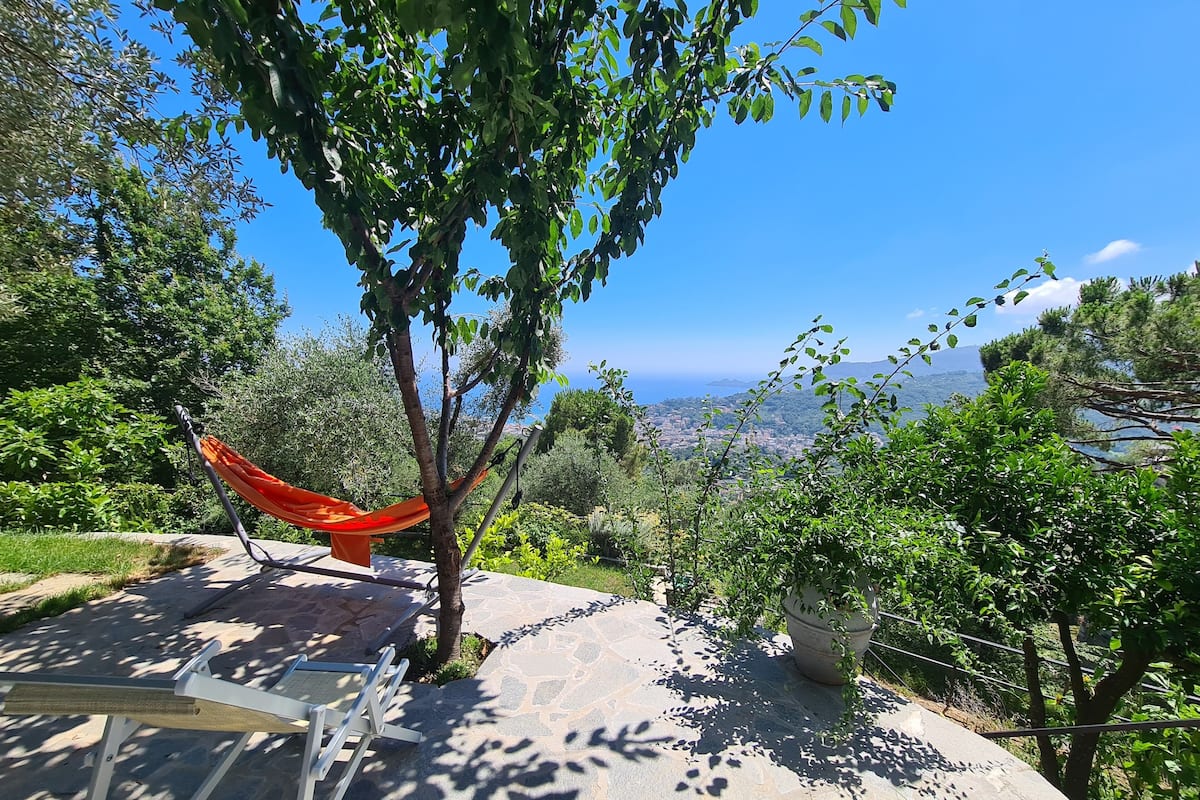 Un hamac suspendu à un arbre, une chaise et une vue sur un paysage côtier.