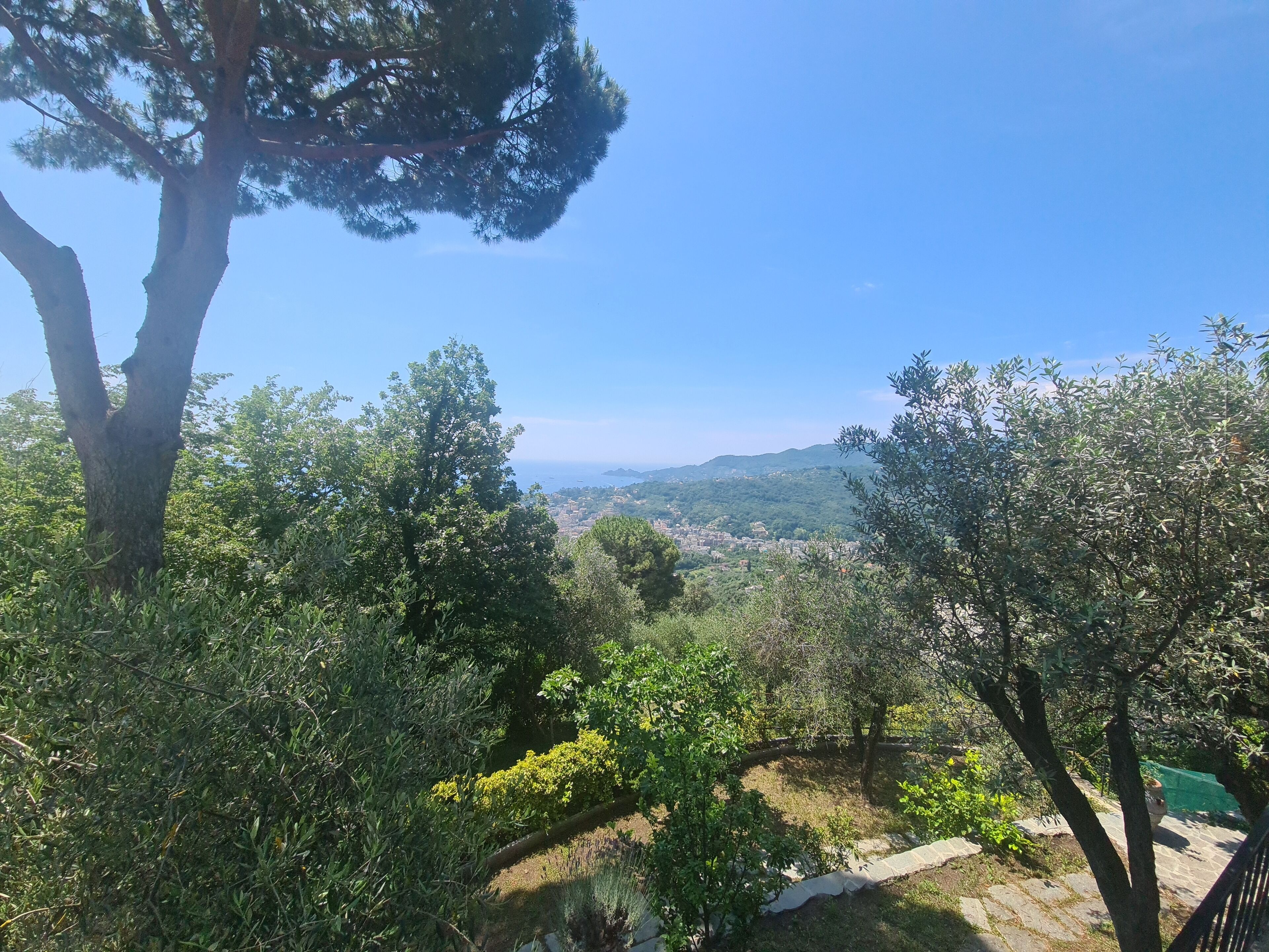 Un jardín exuberante con diversas especies de árboles y arbustos, un camino de piedra y una vista distante de un pueblo y la costa.