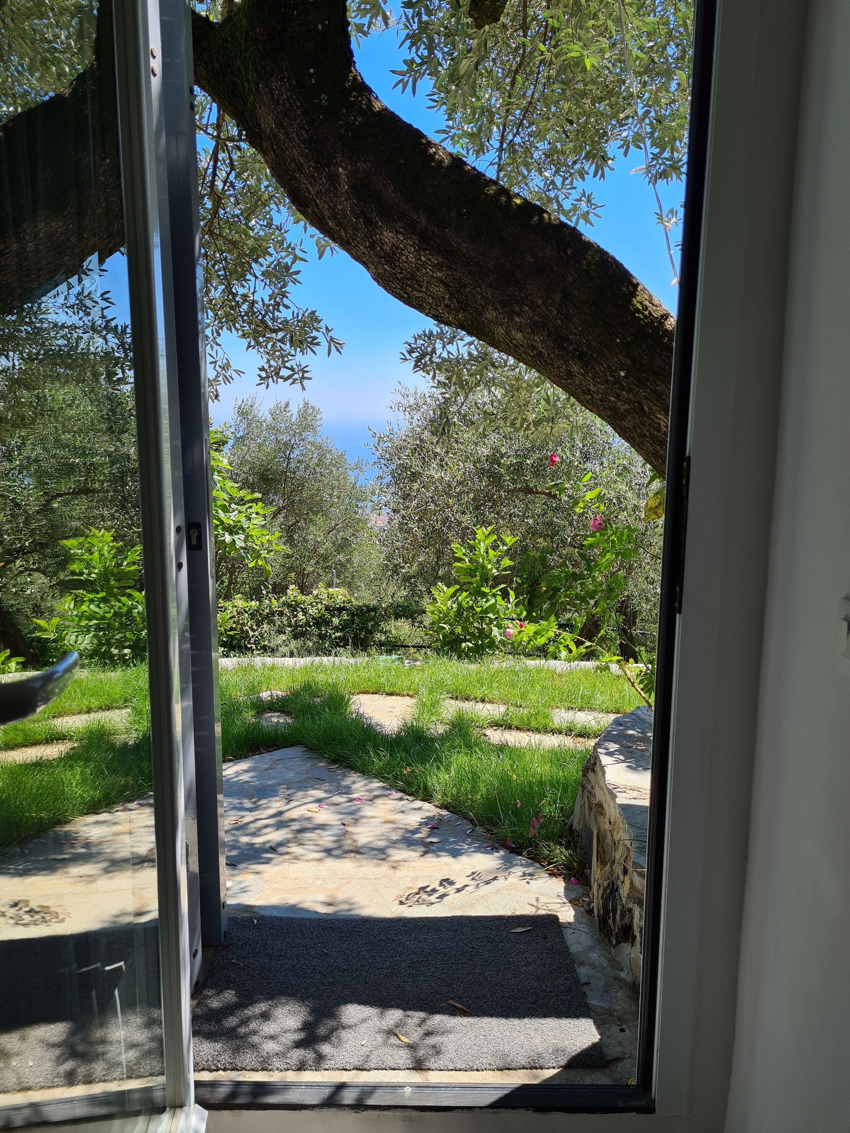 Classic Apartment | View from room