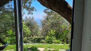 A view through a glass door into a garden with a pathway, trees, and a clear sky.