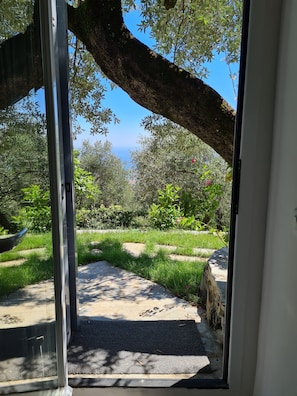 Klassiek appartement | Uitzicht vanuit de kamer