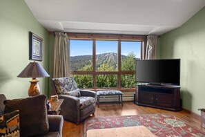 TV, fireplace - Timber Creek Getaway w/ Fireplace,Sauna&Mtn Views! (Dover)