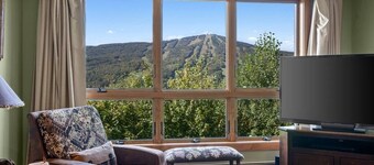 Timber Creek Getaway w/ Fireplace,Sauna&Mtn Views!