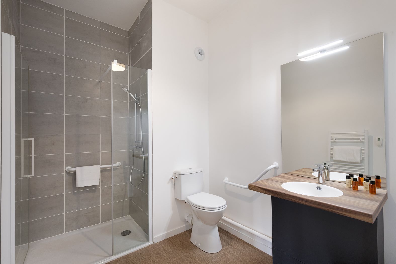 A modern bathroom with a glass shower enclosure, a white toilet, and a wooden vanity with a mirror.