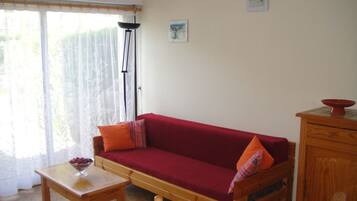 Televisión y libros