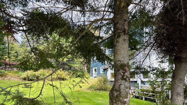 A house surrounded by trees and a grassy yard.