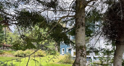 Appartement 4 1/2 - Val David