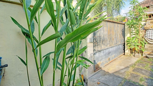 大廳