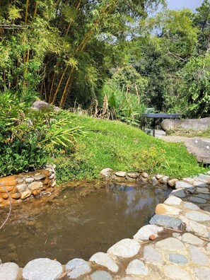 Property grounds - Cozy Casita close to nature with beautiful view (San Gerardo de Rivas)
