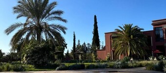 Nomadz Palace