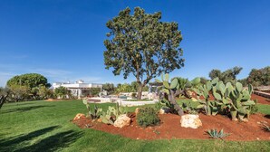 Un jardin bien entretenu, avec un grand arbre, des cactus et une pelouse.