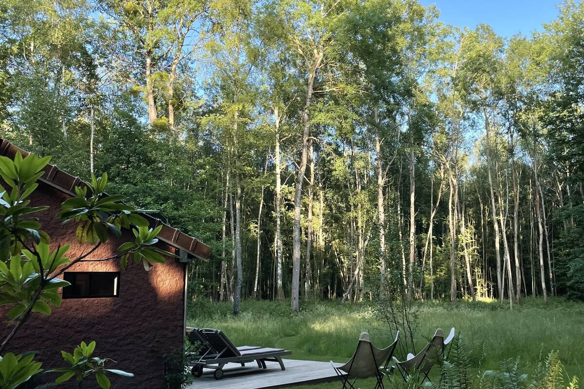 A rustic cabin with a deck, lounge chairs, and a fire pit surrounded by a forest.