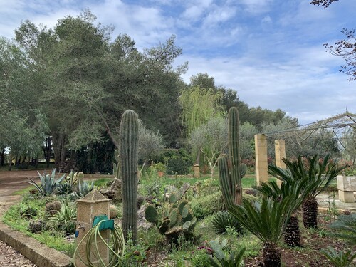 BioAgriturismo Messer Gesualdo