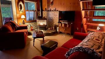 Televisión, chimenea y reproductor de DVD