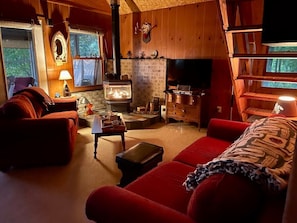 TV, fireplace, DVD player