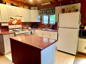 Microwave, oven, stovetop, coffee/tea maker