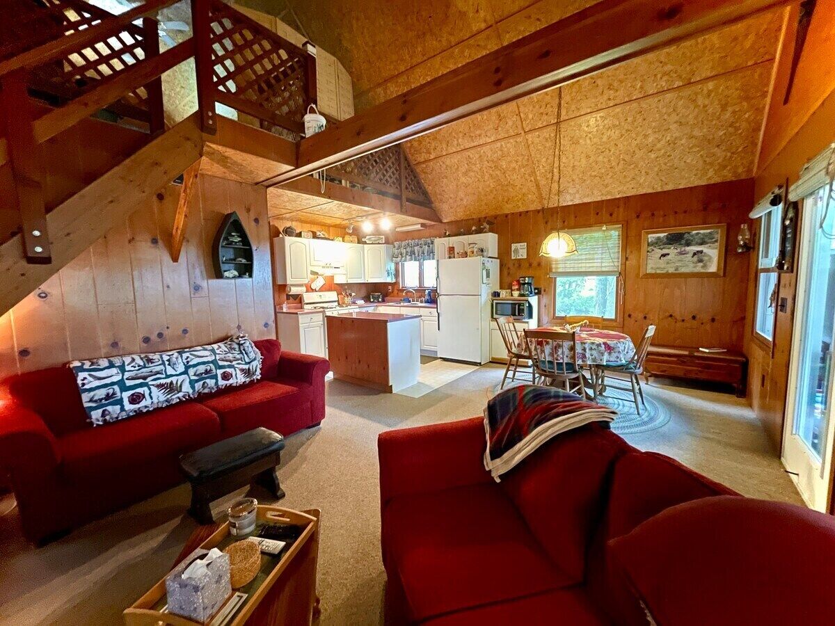 TV, fireplace, DVD player