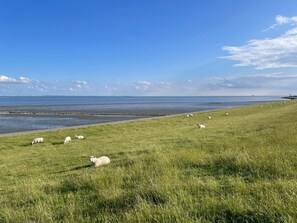 Land view from property