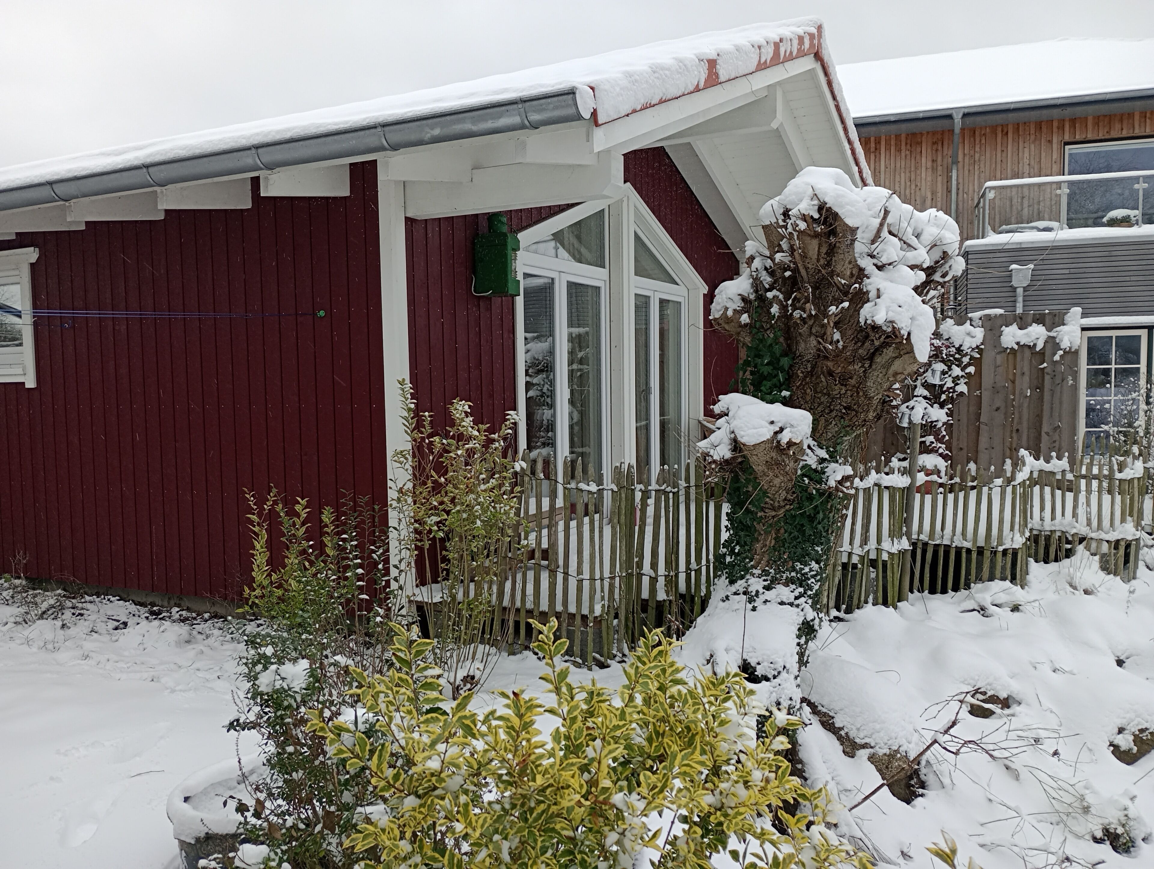 A red building with a white door and windows, surrounded by a wooden fence and snow-covered plants.