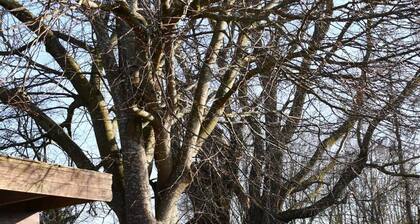 Moderne Wohnung mit Boddenblick