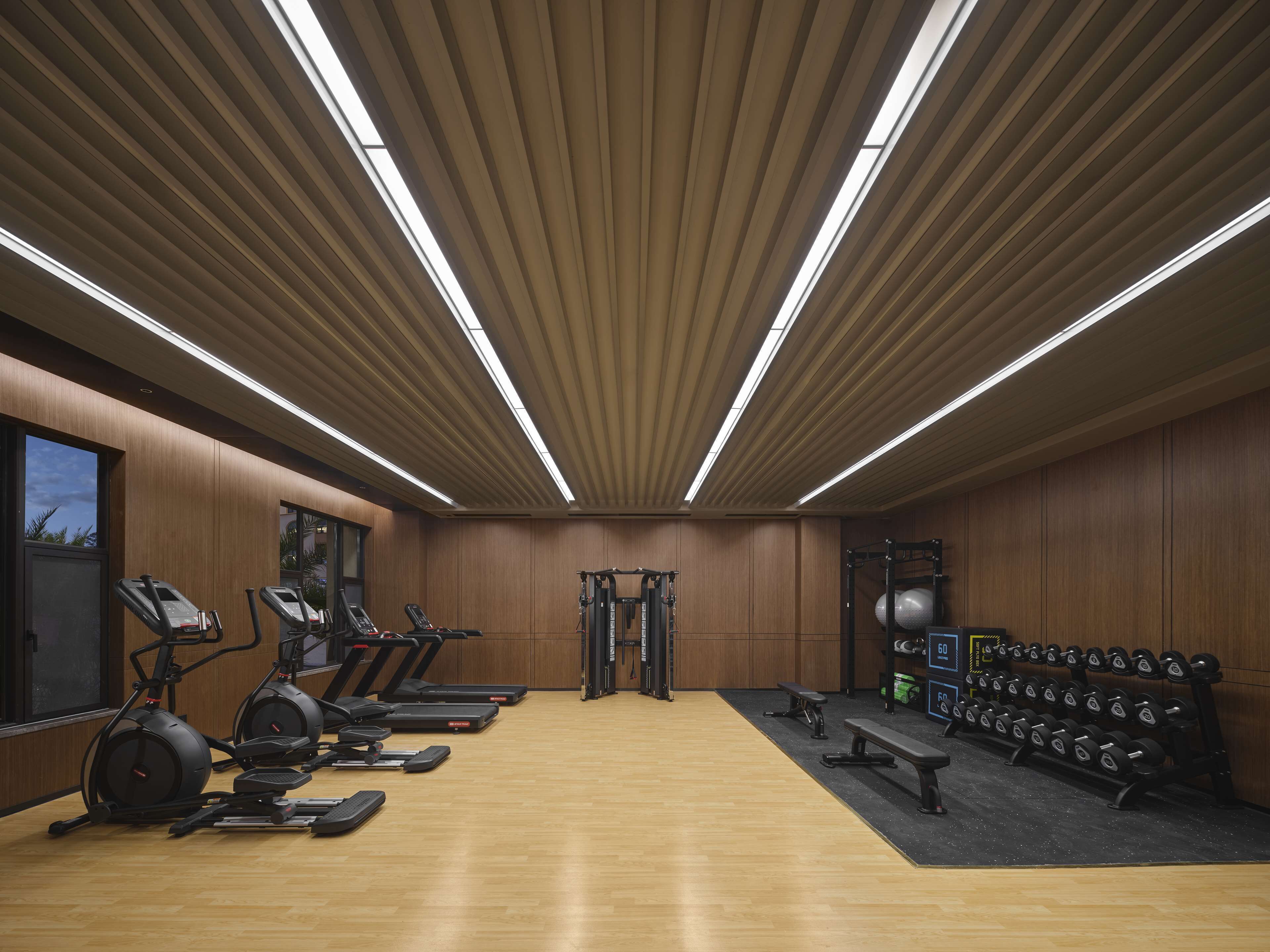 Un gimnasio con cintas de correr, elípticas, una banca y mancuernas.
