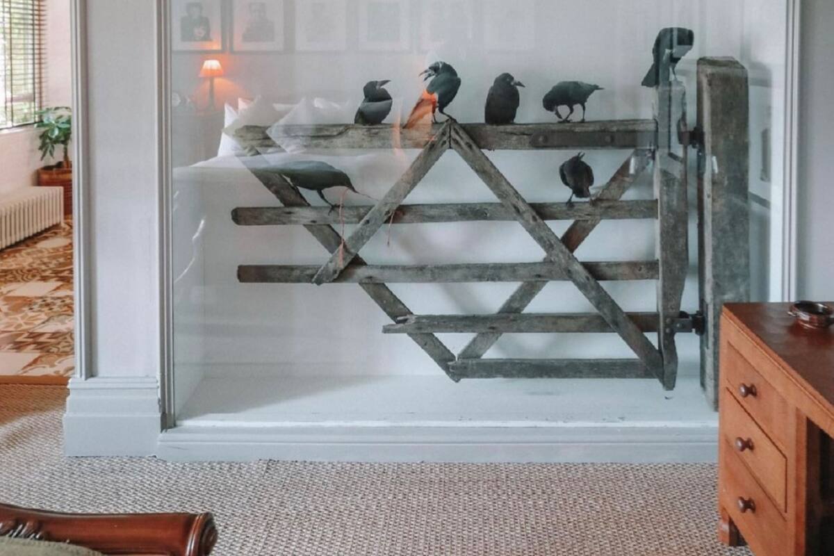 A room with a large window, framed pictures on the wall, and a wooden structure with birds.